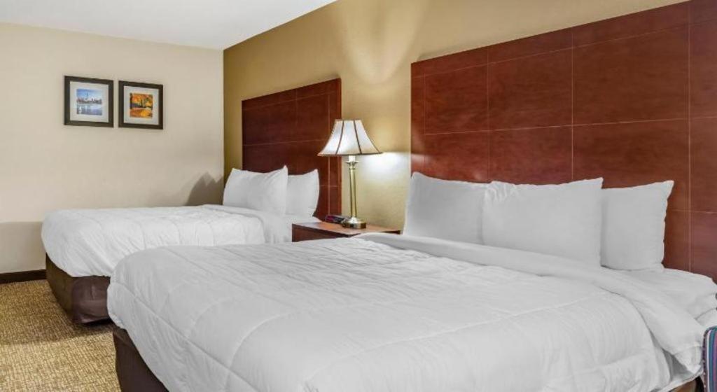 Comfort Inn Foxboro - Mansfield Φόξμπορο Εξωτερικό φωτογραφία